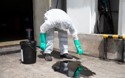 Reasons Organic Oil Absorbent Is The Best Method to Clean Oil Spills